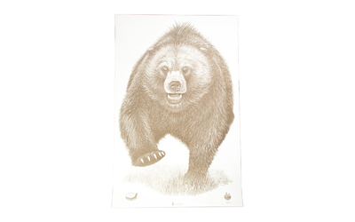 Action Target Alaska State Parks Bear paper target 100 pack