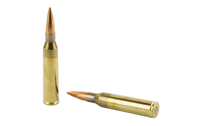 Barnes Precision Match .338 Lapua Magnum 300 gr OTM BT ammunition 20/box