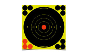 Birchwood Casey Shoot-N-C self-adhesive 60-pack bull's-eye targets
