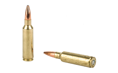 Federal Fusion .300 WSM 180 gr Bonded Soft Point 20rd box front view