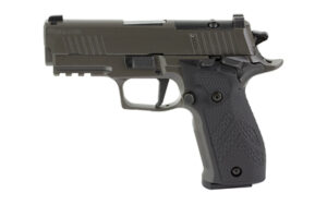 Sig Sauer P226 XCarry Legion 9mm 3.8in pistol in Legion Gray Cerakote with three 10-round magazines