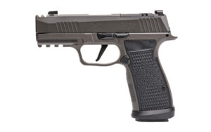 Sig Sauer P365 AXG Legion 9mm 3.1-inch pistol in Legion Gray with XRAY3 sights