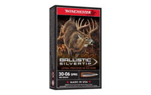 Winchester Ballistic Silvertip .30-06 180 gr 20 rd box