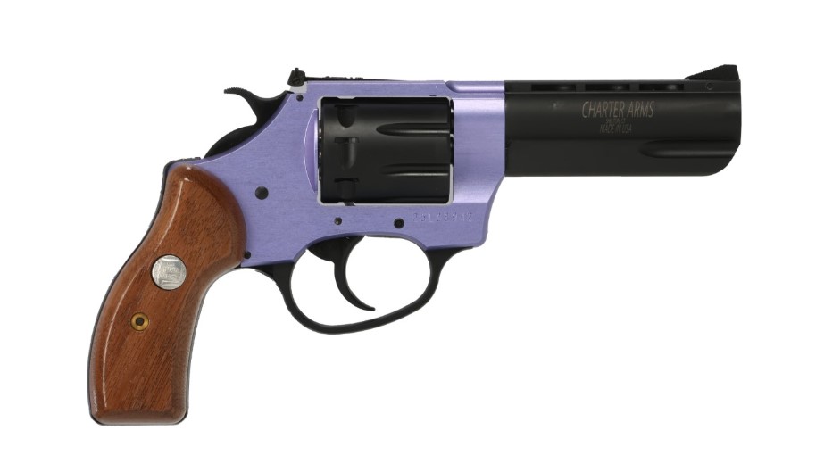 Charter Arms Pathfinder II .22 LR 3.5 in Revolver - Alexander's