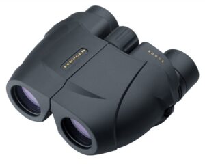 Leupold BX-1 Rogue 10x25 compact porro prism binoculars in black