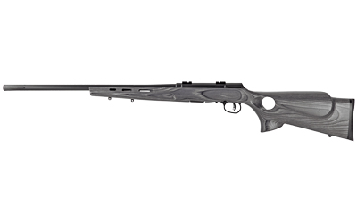 Savage A17 Target Thumbhole 17 HMR 22 in. Grey Laminate