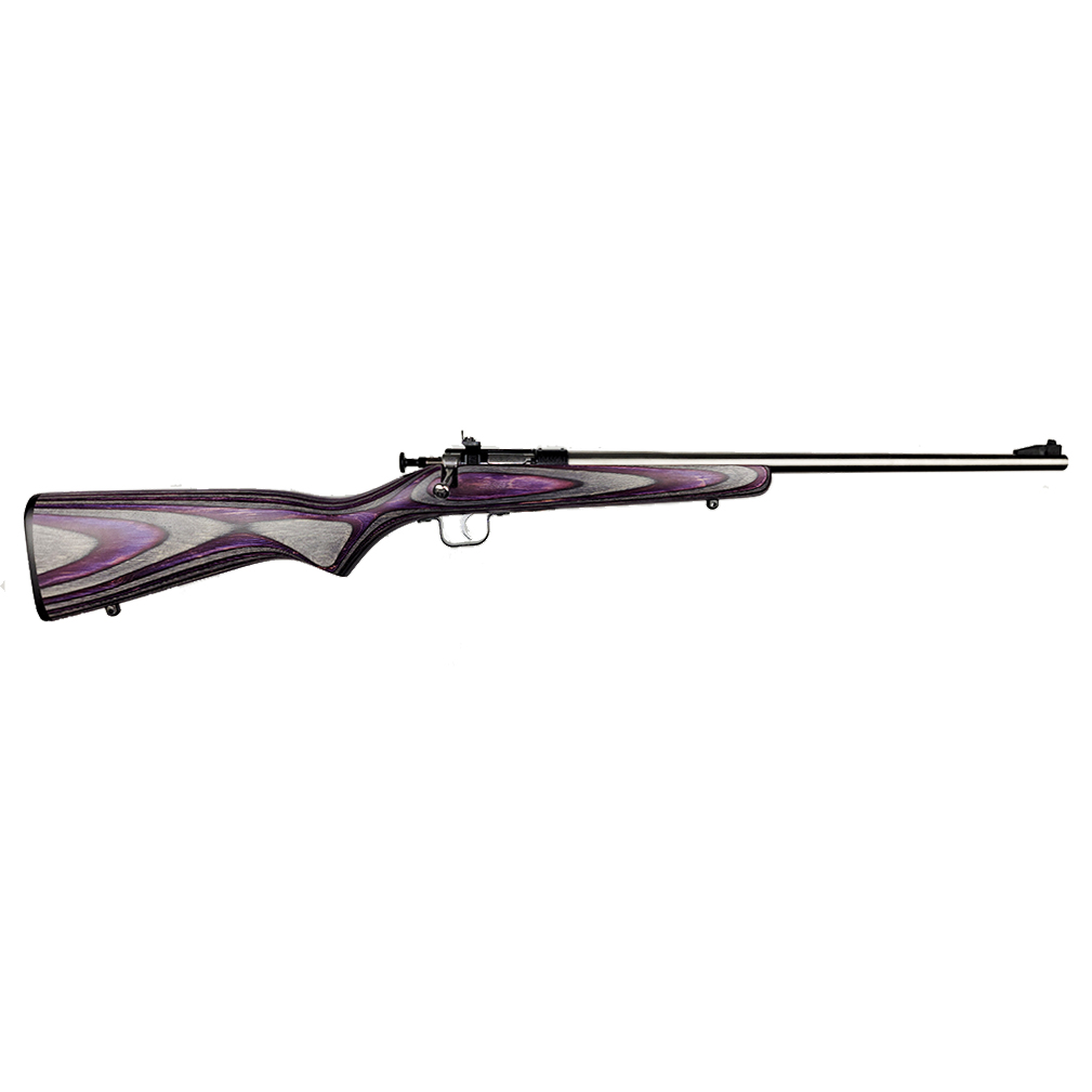 Crickett KSA2228 Youth .22 LR 16.12″ Stainless Purple Laminate