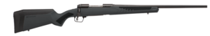 Savage 110 Hunter .204 Ruger 22-inch button-rifled barrel gray synthetic stock bolt-action rifle