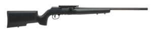 Savage A22 Pro Varmint .22 LR rifle with 22-inch threaded heavy barrel and Boyds Pro Varmint hardwood stock