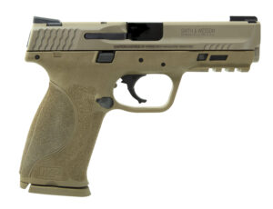 Smith & Wesson M&P9 M2.0 9mm 4.25in FDE TruGlo TFX sights two 17-round magazines