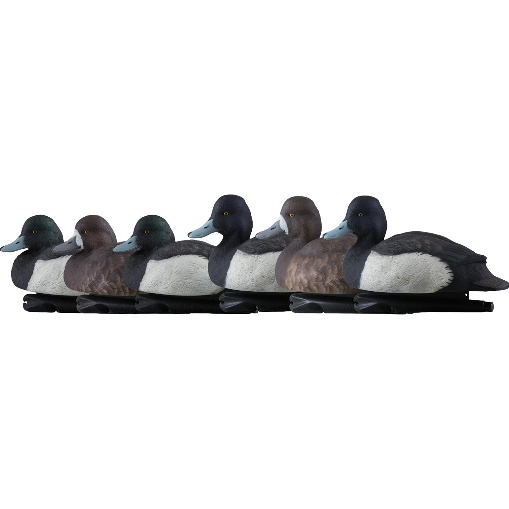 Avian X Top Flight Duck Decoys Blue Bills 6 pk.