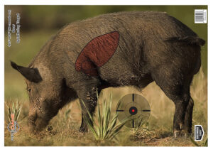 Birchwood Casey Pregame Boar Target 16.5 x 24 3-pack full-color paper target