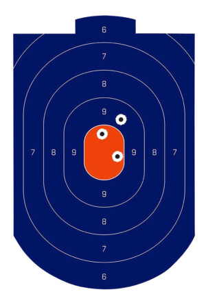 Birchwood Casey Dirty Bird blue and orange silhouette tagboard target 12 x 18 inches pack of 100