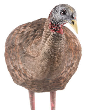 Avian X LCD Breeder Hen turkey decoy in multi-color, collapsible Dura-Rubber with carry bag