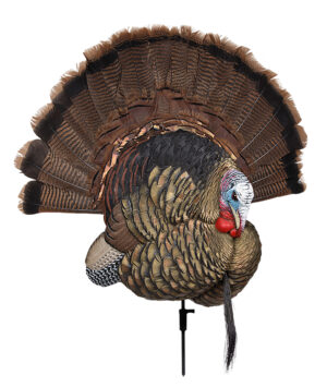 Avian X Trophy Tom lifesize turkey decoy multi-color with stake and handle