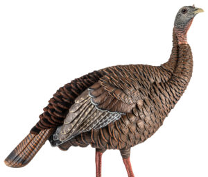 Avian X HDR Hen lifesize turkey decoy multi-color with interchangeable heads