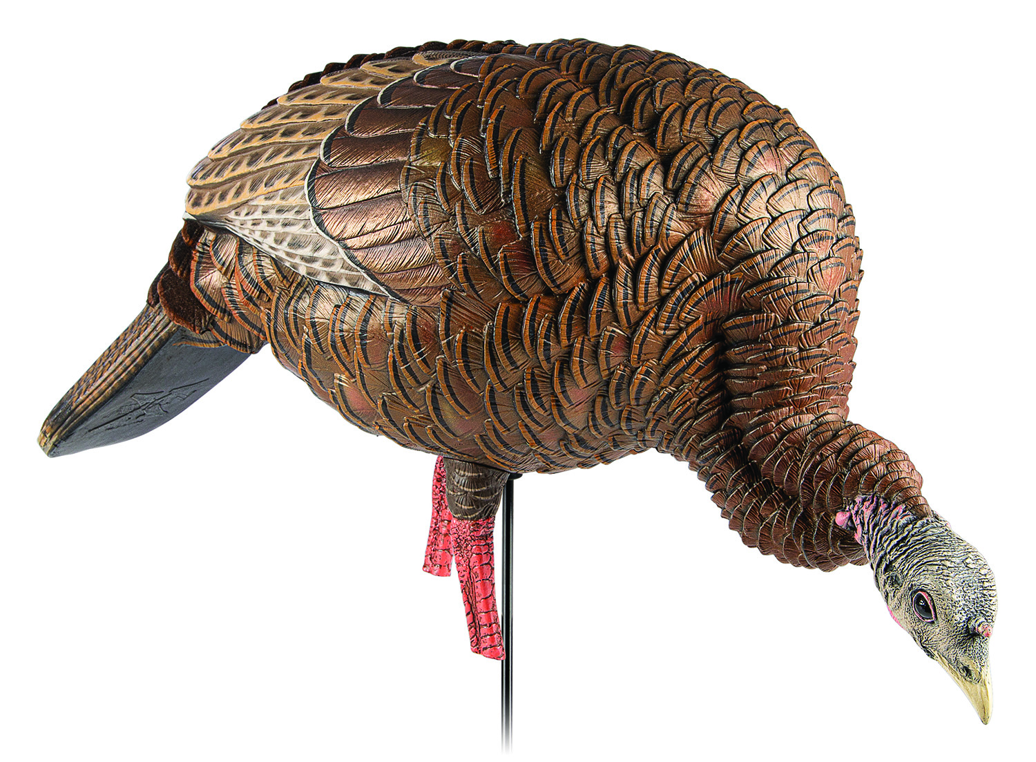 Avian X HDR Feeding Hen Turkey Decoy, Lifesize