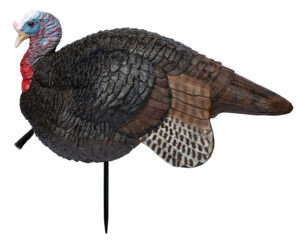Primos Lil' Gobstopper Jake turkey decoy multi-color on two-piece stake
