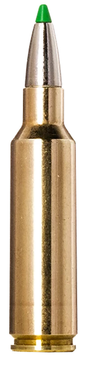 Norma EcoStrike .300 WSM 165gr ammunition box, 20 rounds
