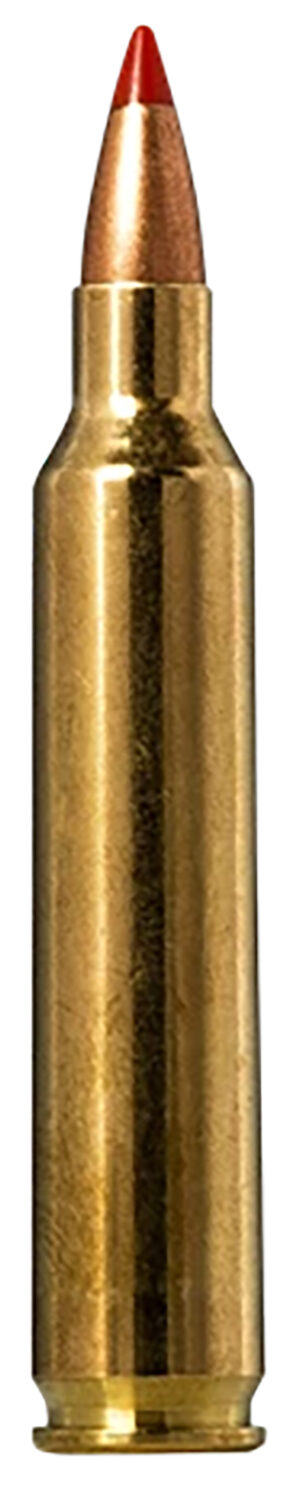 Norma TipStrike .204 Ruger 40 gr box - 20 rounds