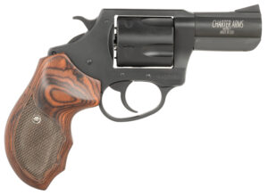 Charter Arms Bulldog .44 Special 2.5in Black Passivate steel revolver with rosewood grip