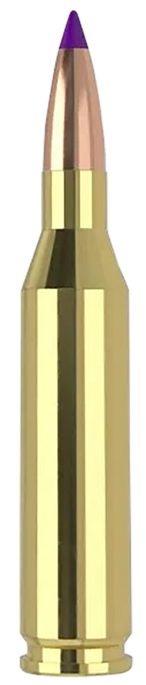 Nosler .243 Win 70gr Ballistic Tip Varmint ammunition 20 count box