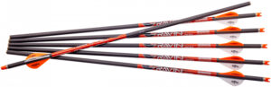 Ravin Crossbows R138 Arrows  400GR .003" 6 Pack