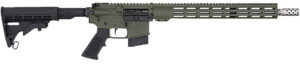 Great Lakes GLFA .350 Legend AR rifle with OD green Cerakote and stainless barrel