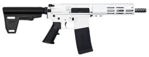 Great Lakes GL15223SSPB 223 Wylde 7.5in braced pistol in white Cerakote