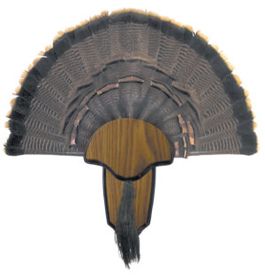 Hunters Specialties HS Strut 00849 turkey tail and beard mounting kit on wood grain plaque