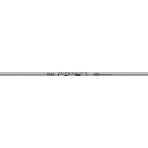 Easton Genesis Shafts Silver 1820 1 doz.