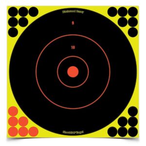 Birchwood Casey Shoot-N-C 12-inch bull's-eye targets 500 count sheets