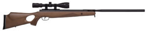 Benjamin BT725WNP Trail XL .25 pellet air rifle with hardwood thumbhole stock and 3-9x40 AO scope