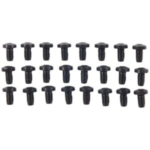 24 PACK H/H BLUE SCREWS