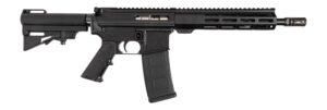 Dpms Panther Arms DP51655231683 DP-15 Shortacle 300 AAC Blackout 30+1 10.50" Black Nitride Threaded Barrel, Black Hardcoat Anodize Aluminum Receiver w/Picatinny Rail. M-LOK Handguard, Black Polymer Ad